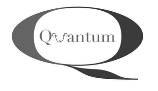 Q QUANTUM logo