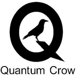 Q QUANTUM CROW logo