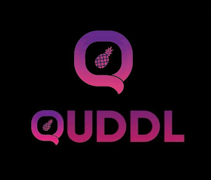 Q QUDDL logo