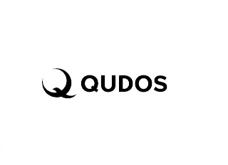 Q QUDOS logo
