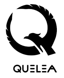 Q QUELEA logo