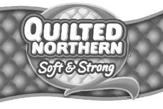 Q QUILTED NORTHERN SOFT & STRONG logo