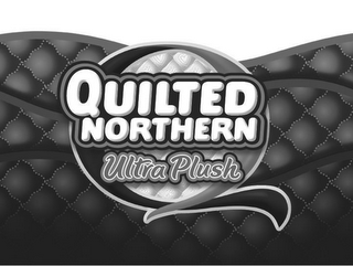 Q QUILTED NORTHERN ULTRA PLUSH logo