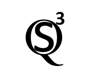 Q S 3 logo