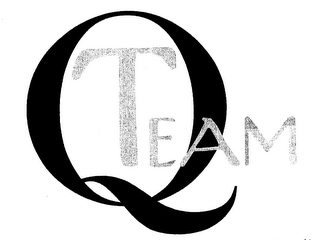 Q-TEAM logo