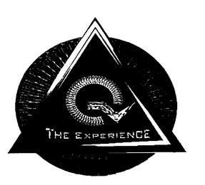 Q THE EXPERIENCE logo