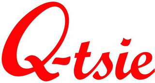 Q-TSIE logo