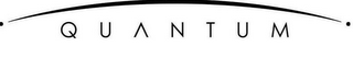 Q U A N T U M logo