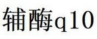 Q10 logo