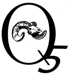 Q5 logo