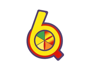 Q6 logo