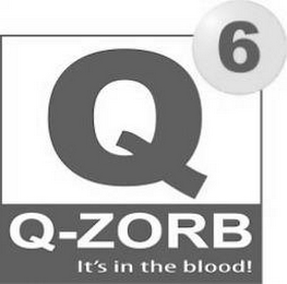 Q6 Q-ZORB IT'S IN THE BLOOD! logo