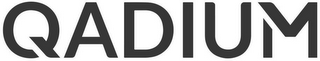 QADIUM logo