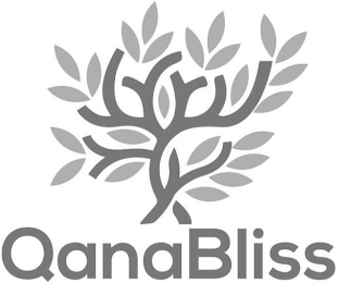 QANABLISS logo