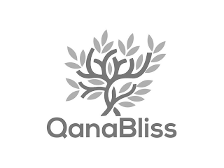 QANABLISS logo