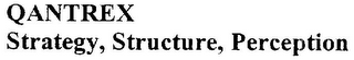 QANTREX STRATEGY, STRUCTURE, PERCEPTION logo
