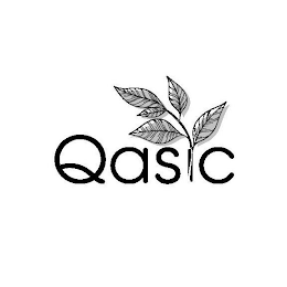 QASIC logo