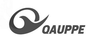 QAUPPE logo