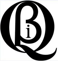 QBI logo