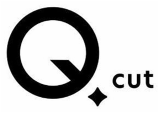 QCUT logo