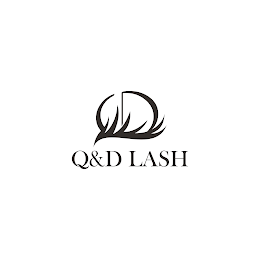 Q&D LASH logo