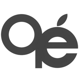 QE logo