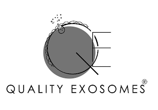 QE QUALITY EXOSOMES logo