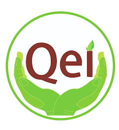 QEI logo