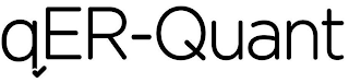 QER-QUANT logo