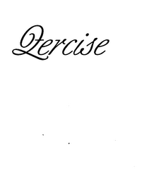 QERCISE logo