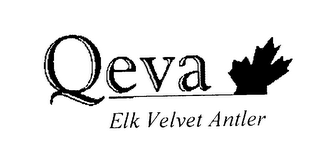 QEVA ELK VELVET ANTLER logo