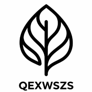 QEXWSZS logo