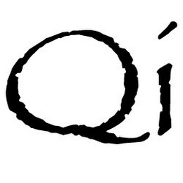 QI logo