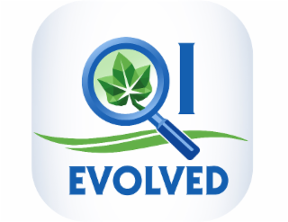 QI EVOLVED logo