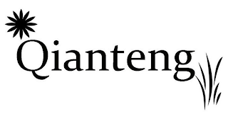 QIANTENG logo
