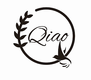 QIAO logo