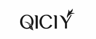 QICIY logo