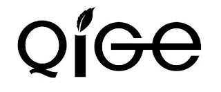 QIGE logo