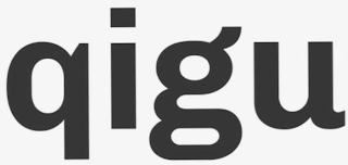 QIGU logo