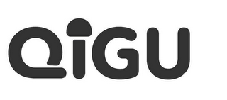 QIGU logo