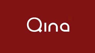 QINA logo
