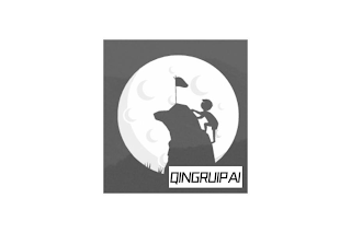 QINGRUIPAI logo