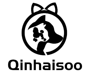 QINHAISOO logo