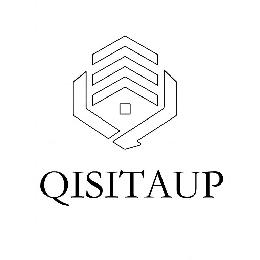 QISITAUP logo