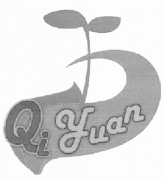 QIYUAN logo