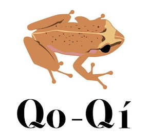 QO-QI logo