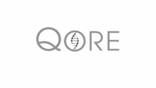 QORE logo