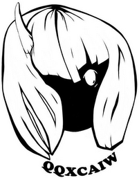 QQXCAIW logo