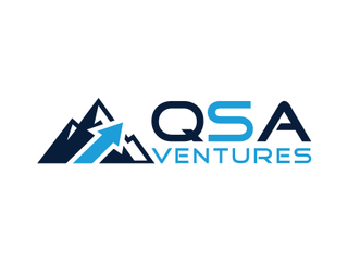 QSA VENTURES logo