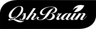 QSHBRAIN logo